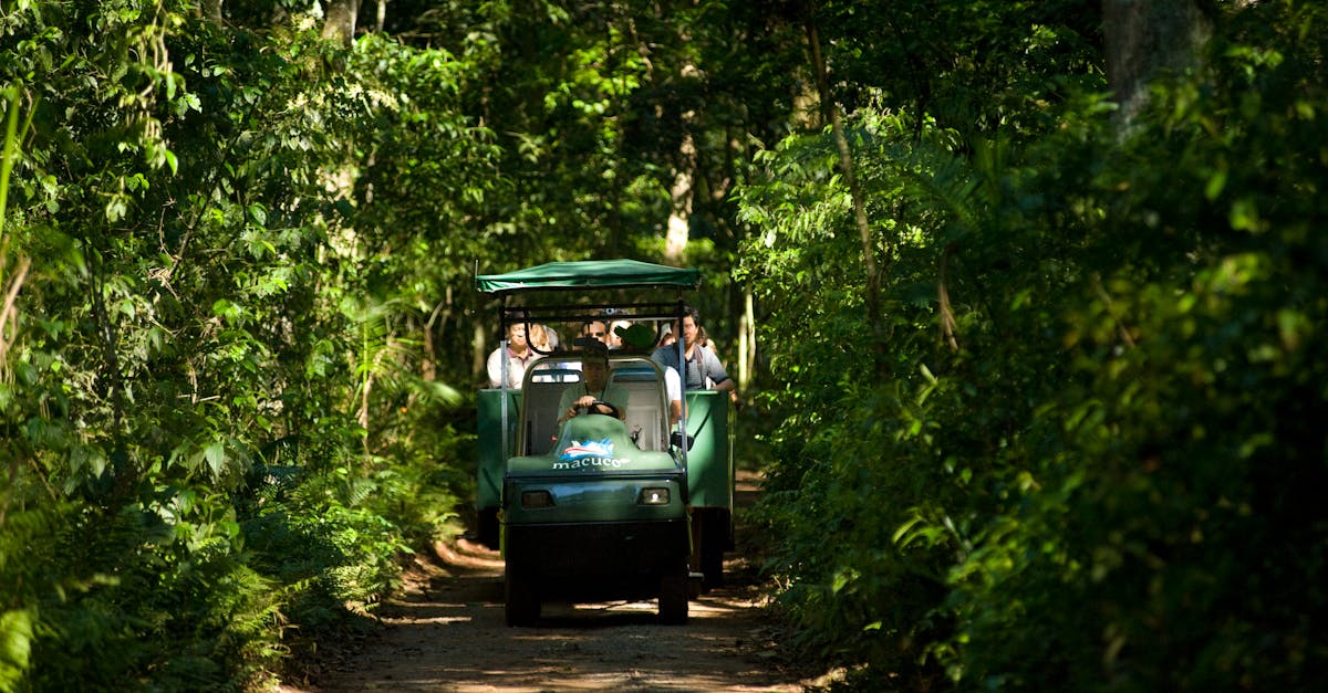 A safari vehicle navigates through a lush forest path with passengers enjoying the nature experience.