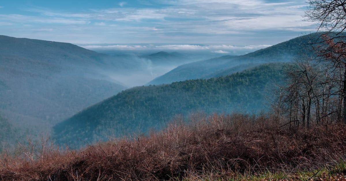 Capture of Shenandoah's misty mountains under a clear blue sky in Virginia, USA.