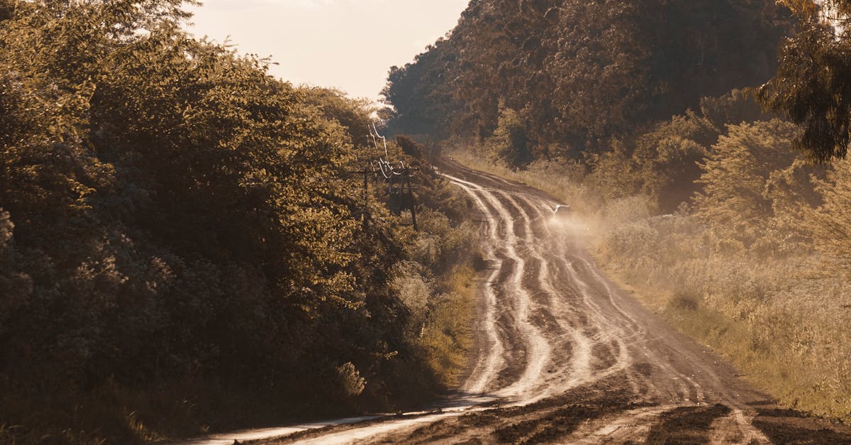 Dusty dirt road winding through lush rural landscape under clear skies.