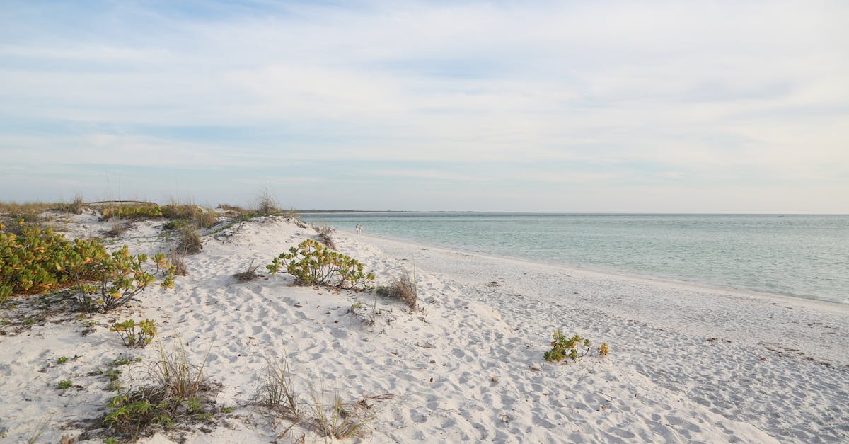 Breathtaking view of a serene white sand beach in Florida, showcasing clear skies and gentle ocean waves.