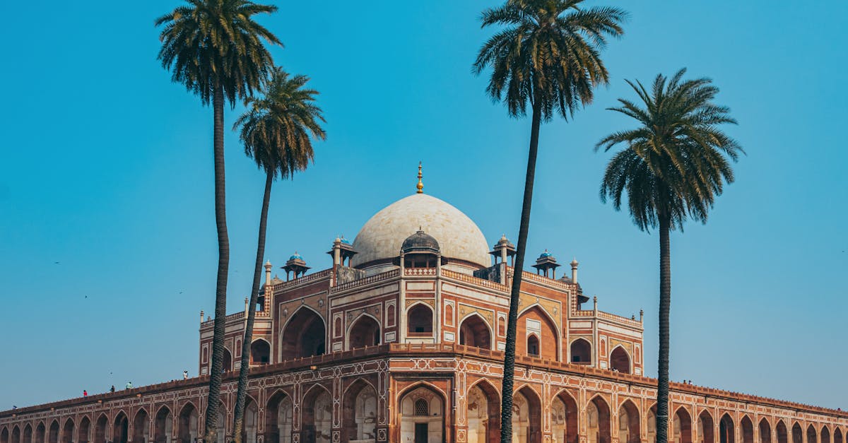 Humayun's Tomb surrounded by palm trees, showcasing architectural elegance in Delhi.