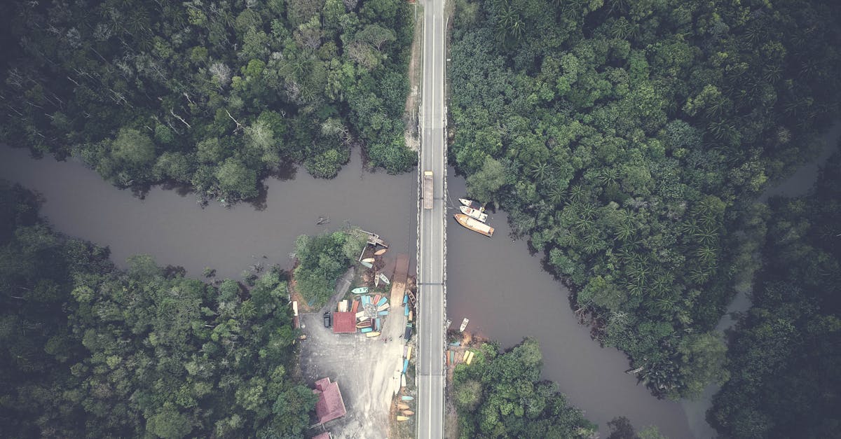 Aerial photo of a bridge over a river in a lush forest, showcasing a serene natural view.