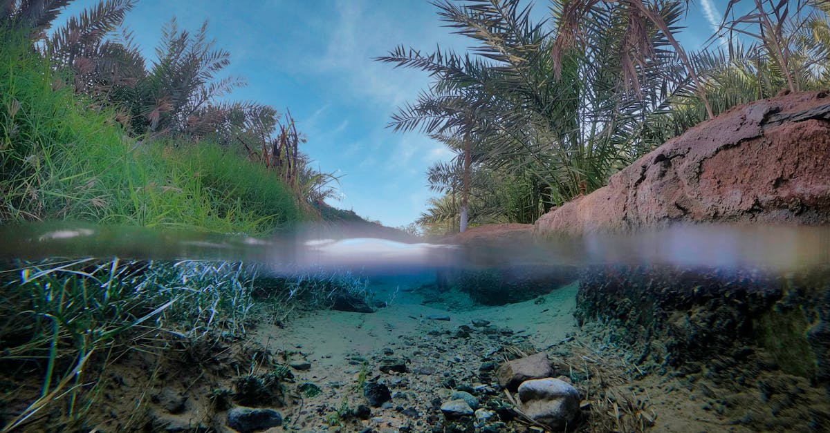 third_section_image_data.image_alt