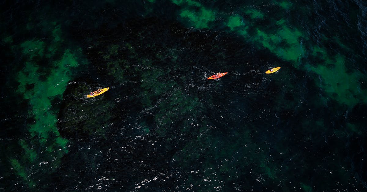 Aerial image of three kayakers navigating through dark green waters in the UK.