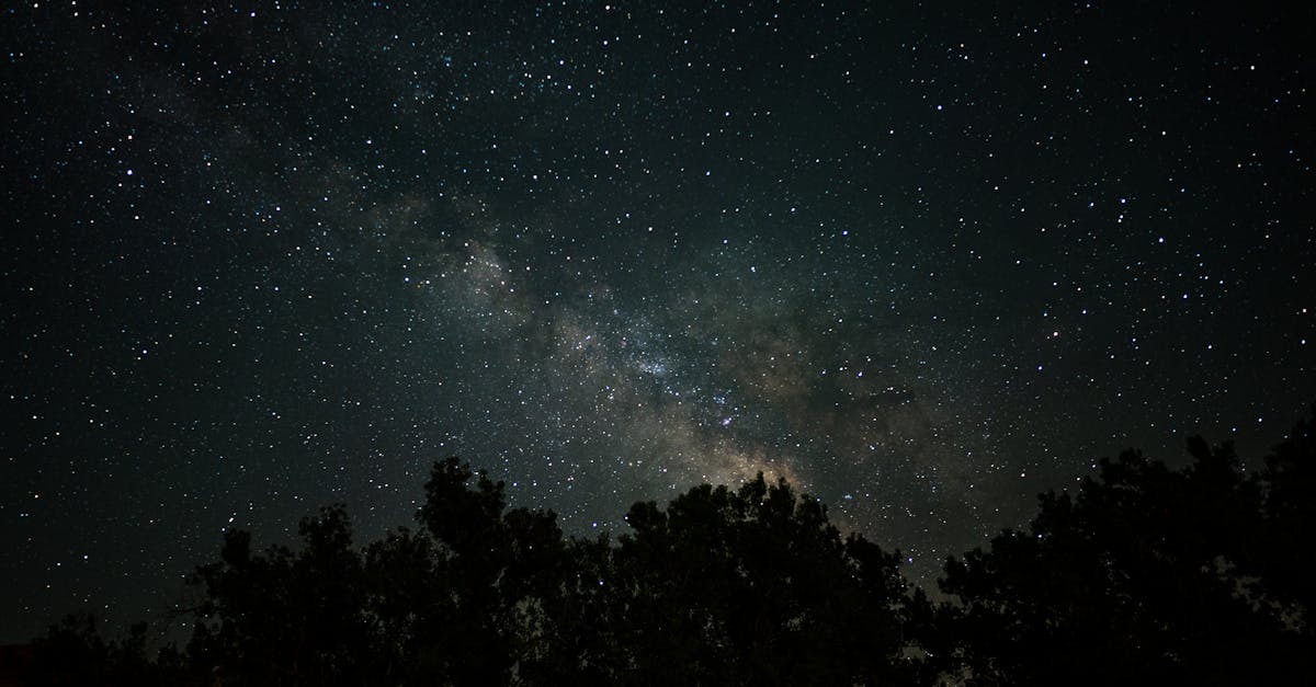 Stunning photograph capturing the Milky Way galaxy above a silhouetted forest at night.