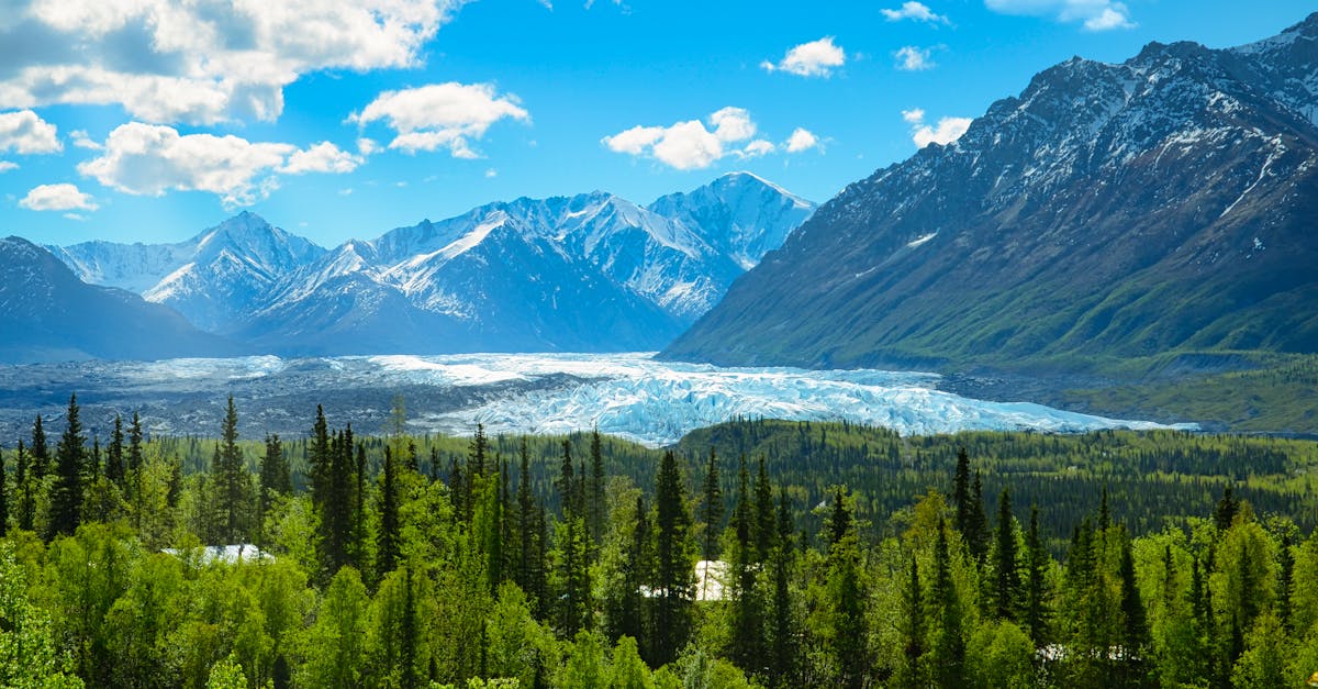Breathtaking view of Alaskan mountains, glacier, and lush forest in summer. Ideal for nature and travel enthusiasts.