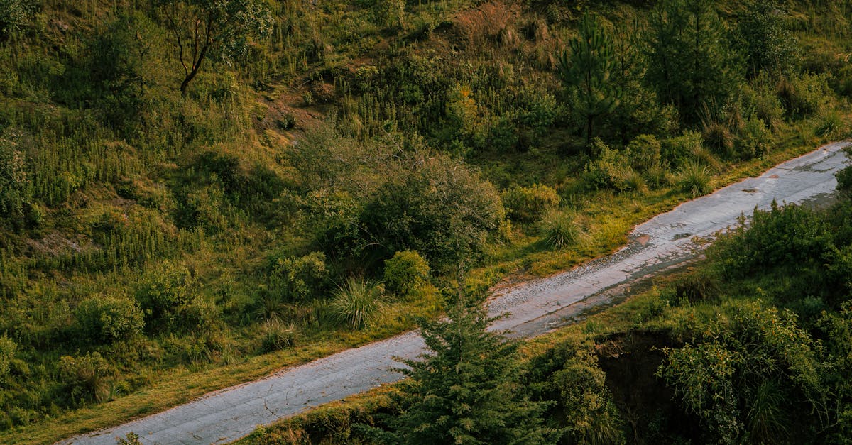 third_section_image_data.image_alt