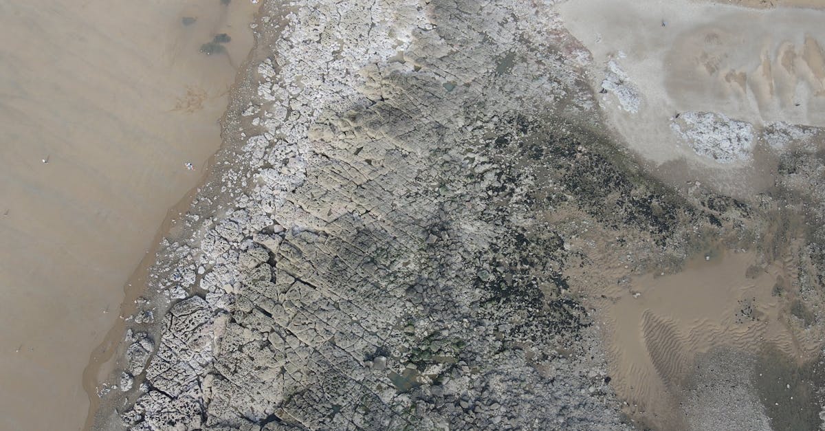 third_section_image_data.image_alt