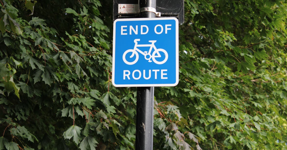 Close-up of an 'End of Route' bicycle sign amidst green leaves in London park.