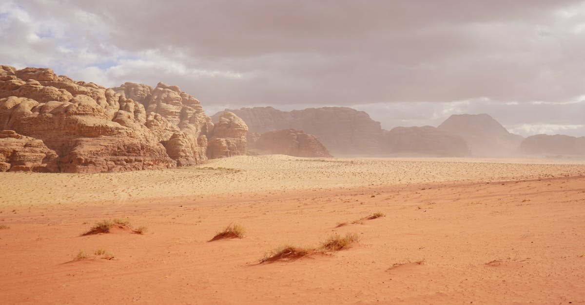 third_section_image_data.image_alt