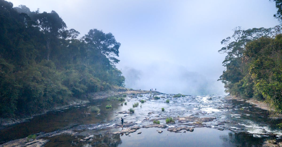 third_section_image_data.image_alt
