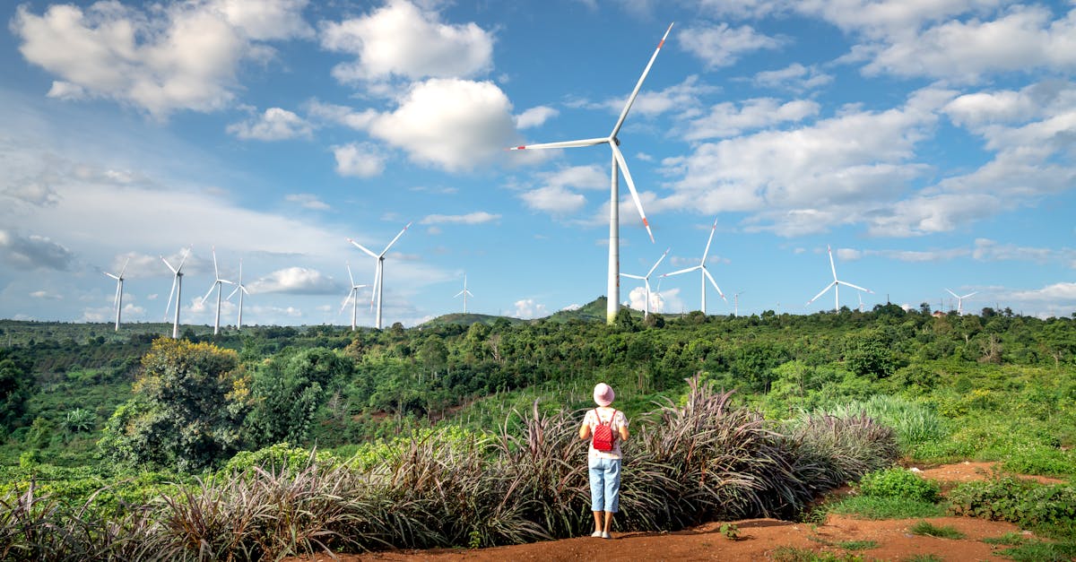 Woman exploring a rural area with wind turbines in a lush summer landscape.