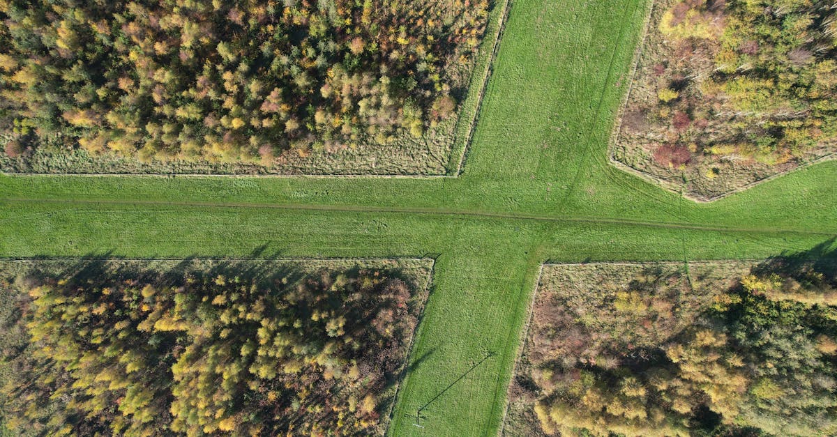 A stunning aerial view of a lush forest and grassy intersection in England during a sunny day.