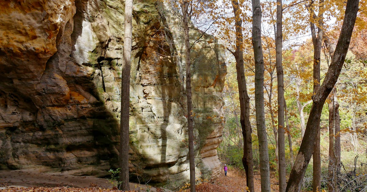 third_section_image_data.image_alt