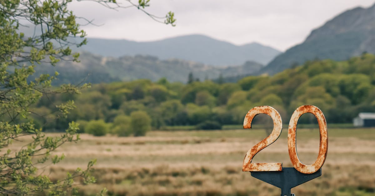 A rusted number 20 sign in a tranquil countryside field with rolling hills.