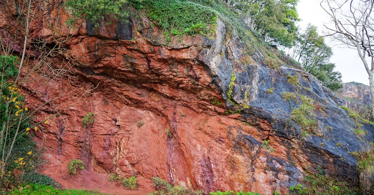 Vibrant red rock formation in Ansteys Cove, Torquay with lush greenery.