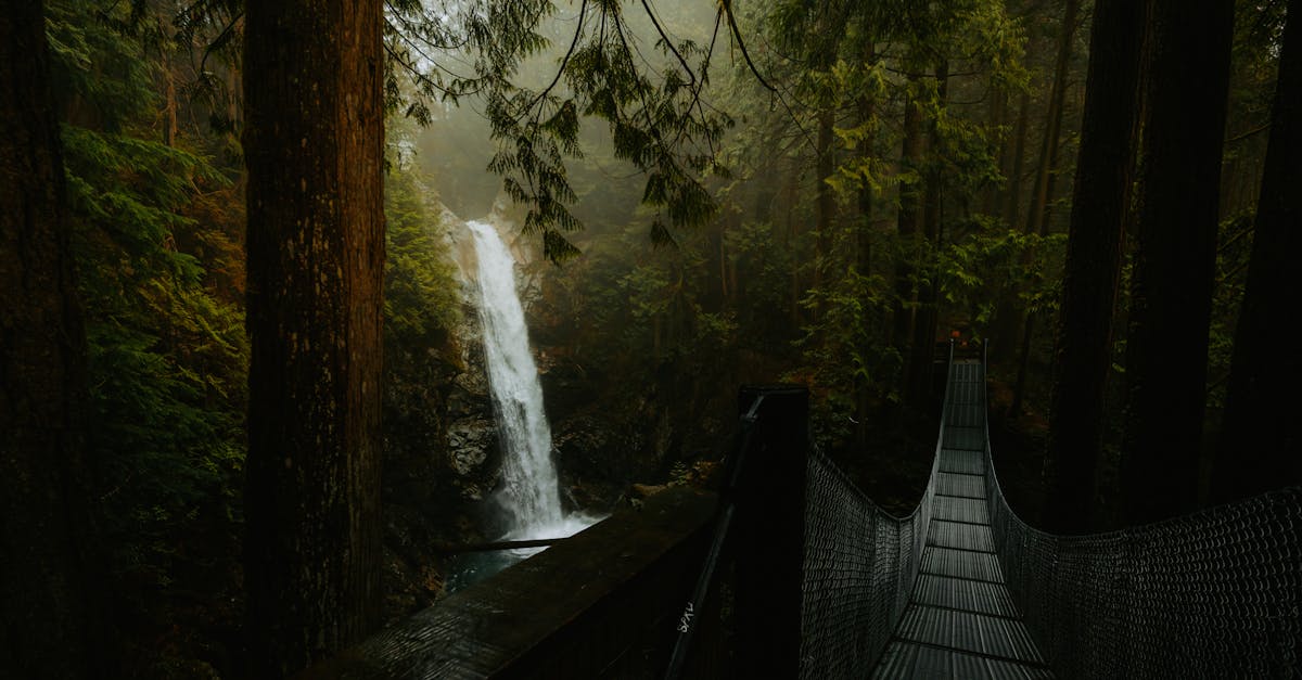 third_section_image_data.image_alt