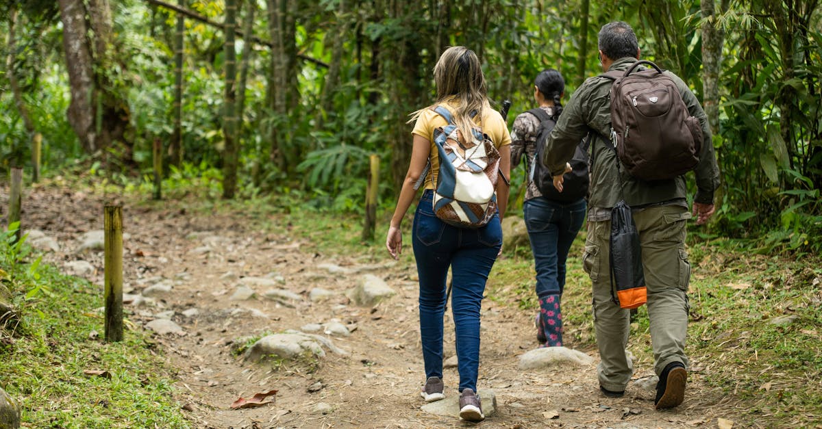 Three hikers walking through a lush tropical forest path with backpacks, embracing nature adventure.