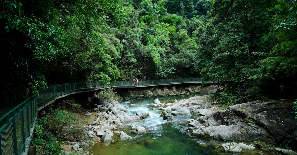 third_section_image_data.image_alt