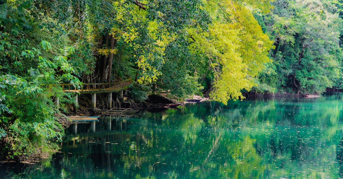 Peaceful lake in a dense forest with a wooden footbridge reflecting in emerald green waters.