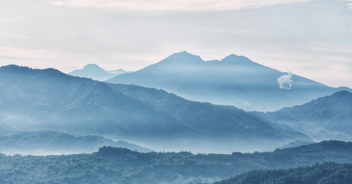Peaceful mountain landscape with mist and lush greenery. Ideal for nature themes.