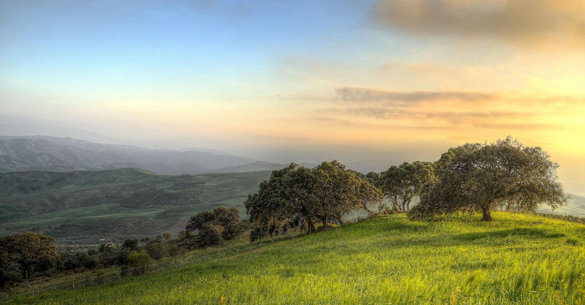 Breathtaking sunrise landscape with serene hills and lush greenery under a vibrant sky.