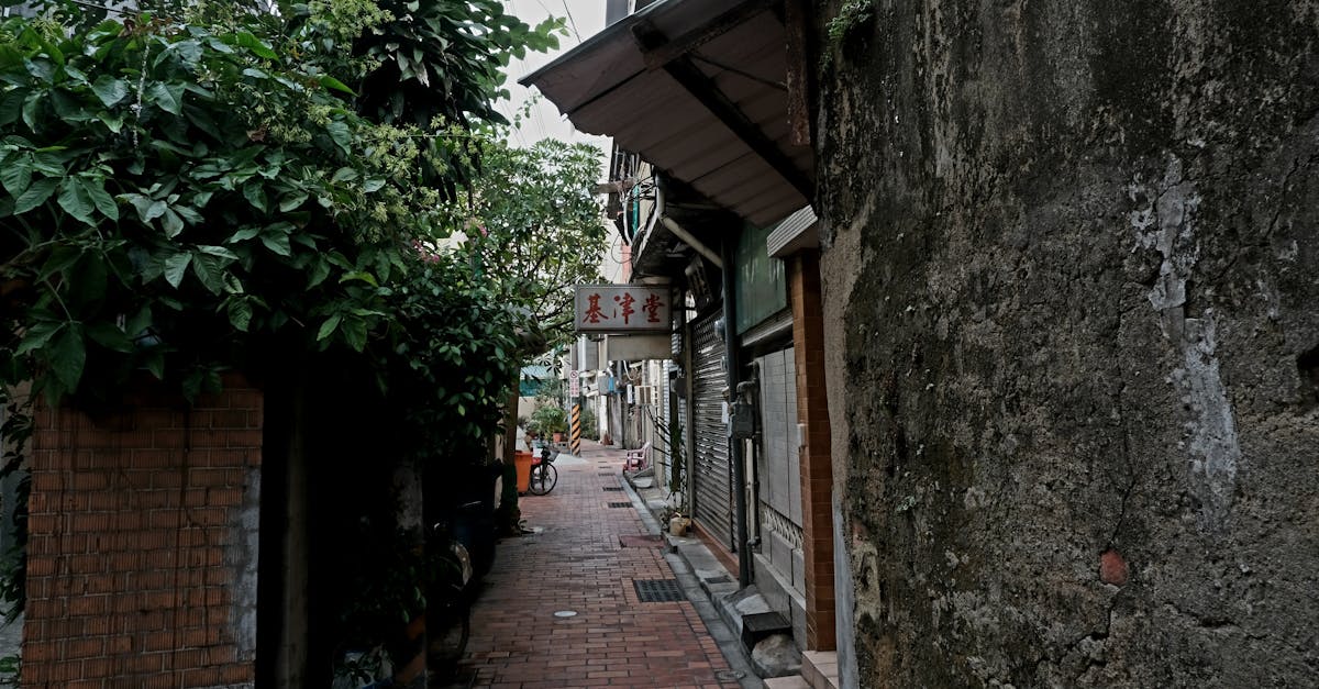 Explore a quaint urban alleyway with rustic charm and lush greenery overtaking ancient stone walls.