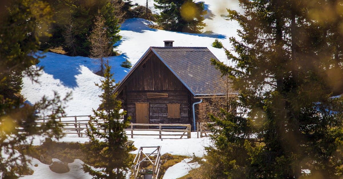 Charming wooden cabin nestled in a snowy forest landscape, perfect winter retreat.