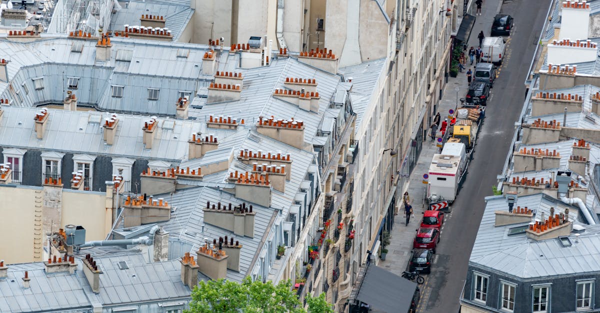 Captivating high-angle view of Parisian rooftops and streets, showcasing urban architecture.