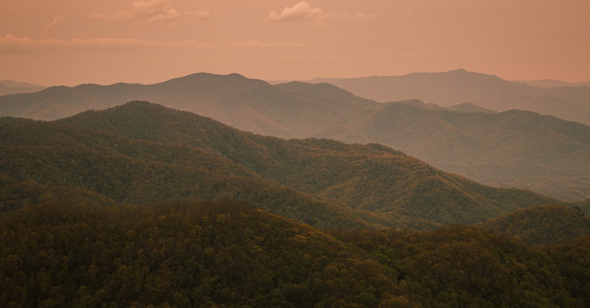 Breathtaking view of a misty mountain range at dawn, showcasing lush greenery and a warm ambiance.
