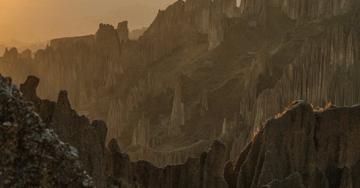 third_section_image_data.image_alt