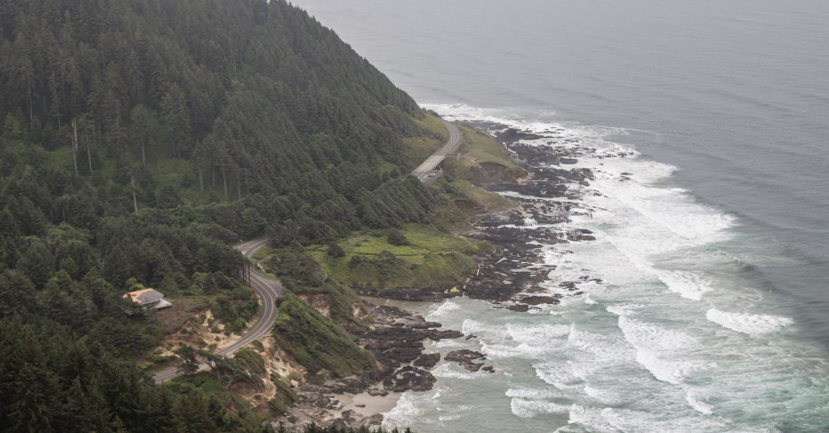 Breathtaking aerial view of Big Sur coastline with winding road and lush forests.