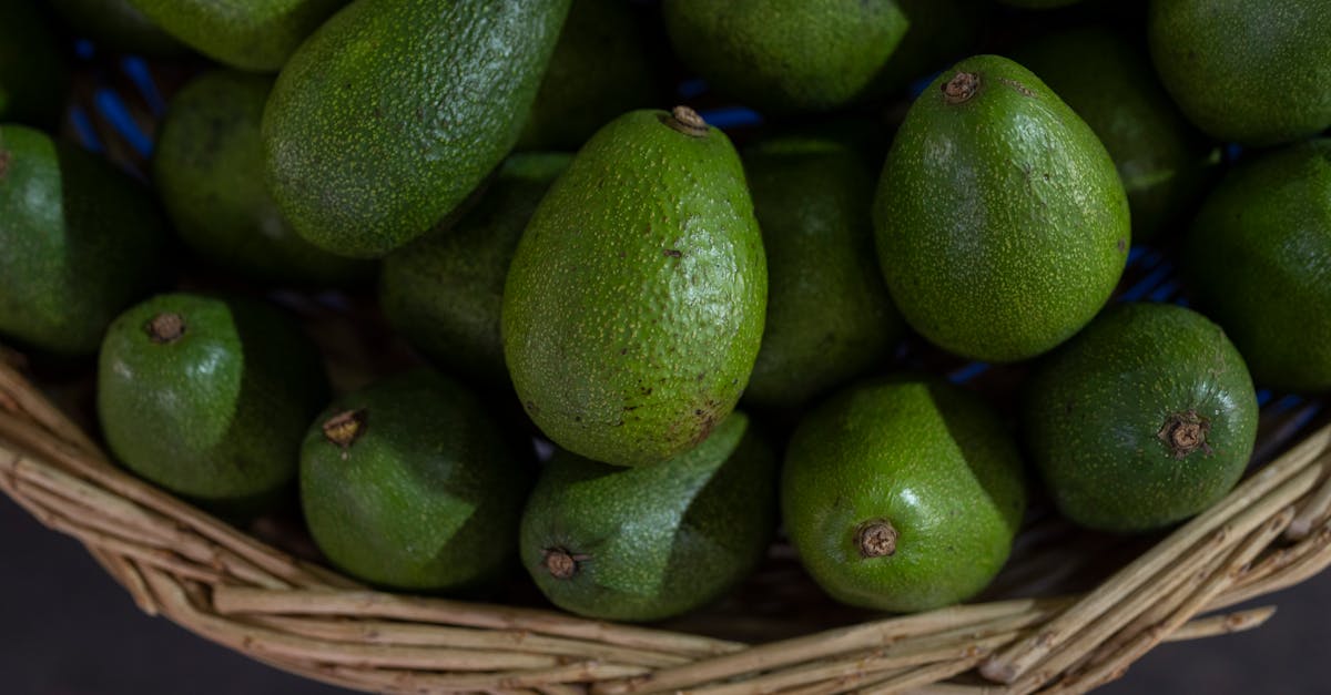 A close-up view of freshly harvested organic avocados in a wicker basket at a market.