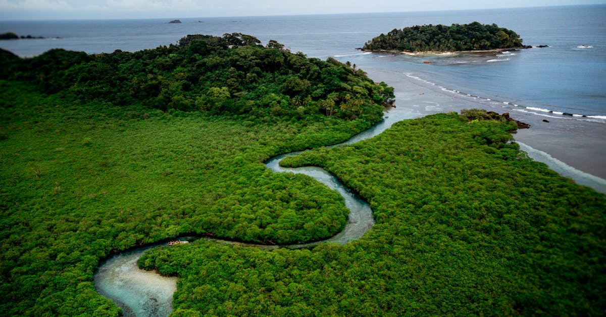 Experience the lush greenery and pristine shores of Isla Mamey from a stunning aerial perspective.