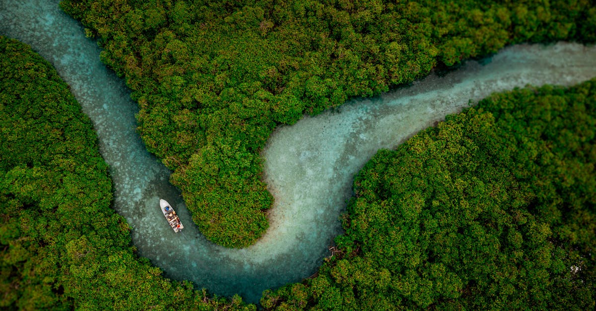 Explore the tranquil beauty of a winding river through dense green forest, captured from above.
