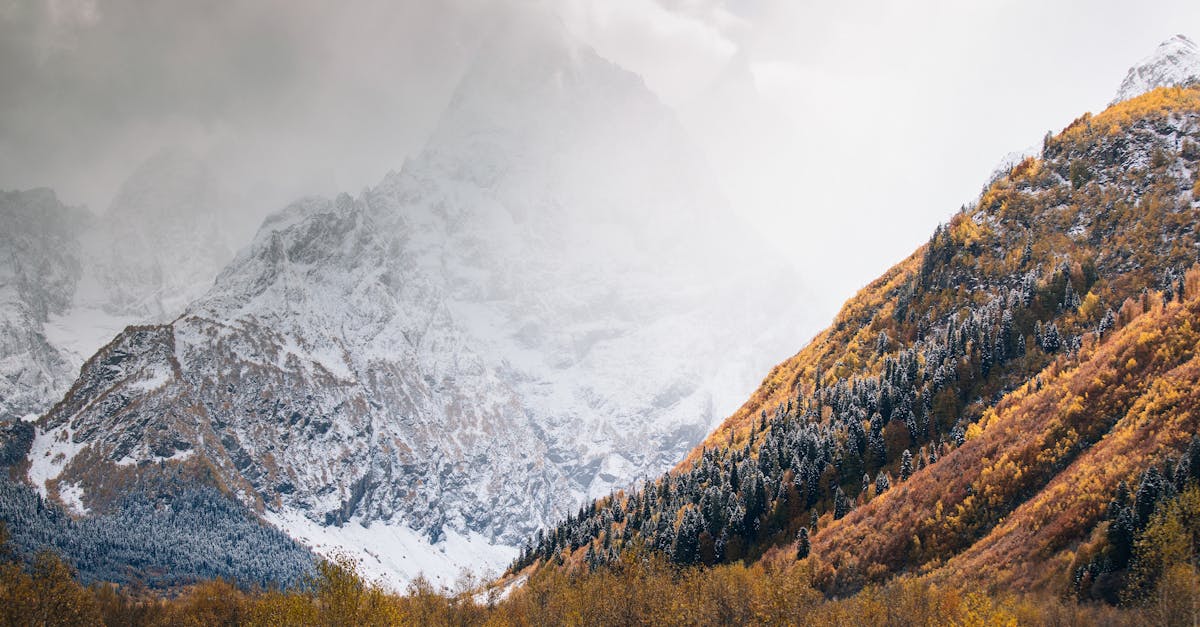 third_section_image_data.image_alt