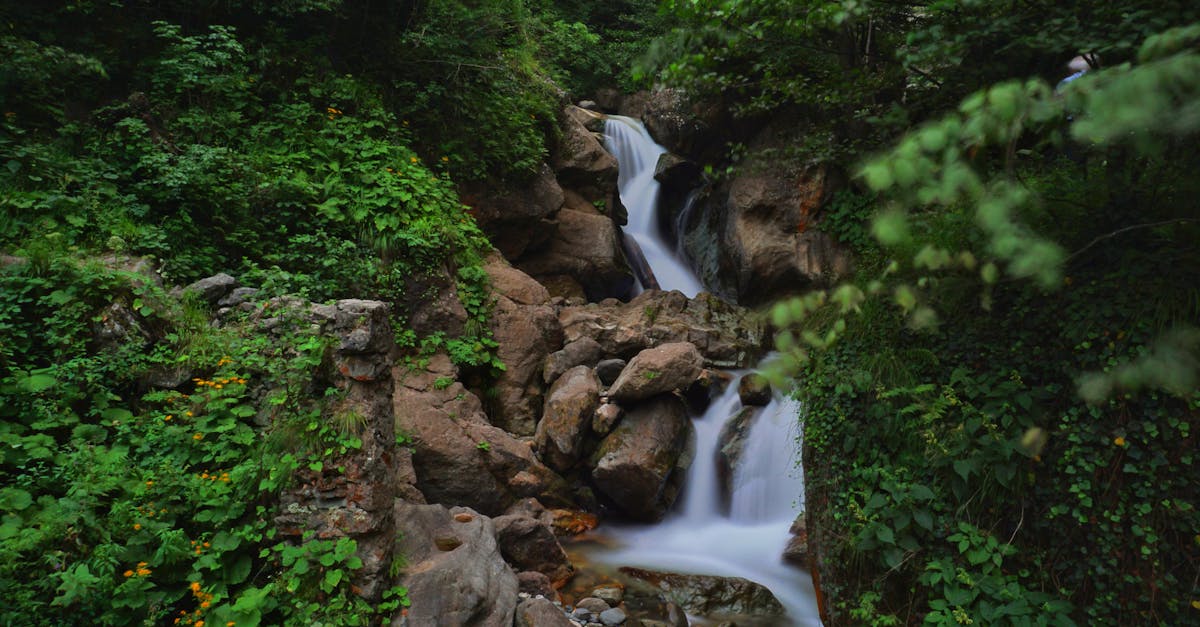 third_section_image_data.image_alt