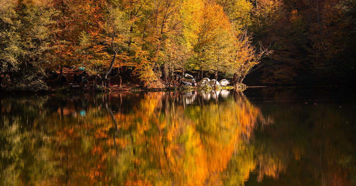 Serene autumn landscape with colorful trees reflecting in a tranquil lake.