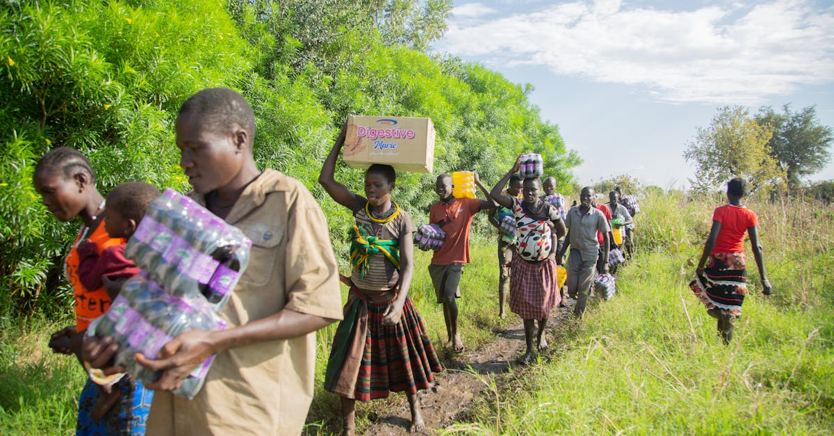 A diverse group walking on a grassy rural path, carrying groceries and supplies on a sunny day.