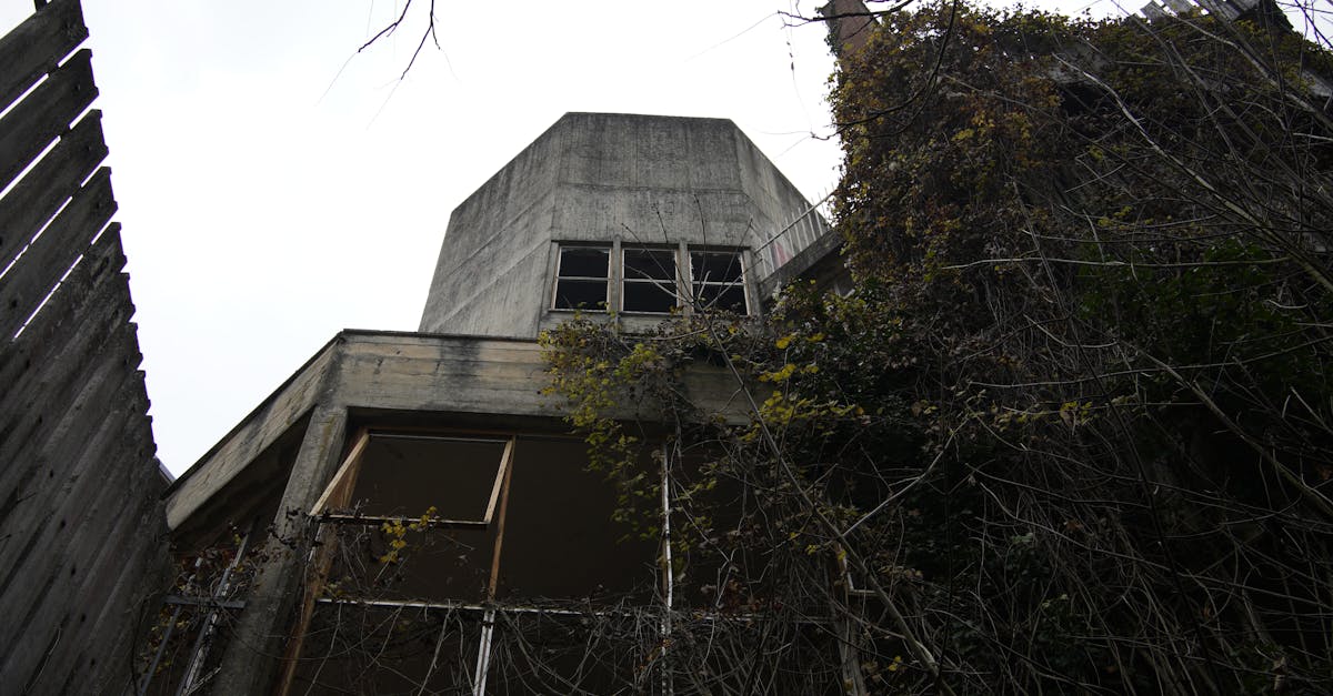 Creeping ivy overtakes an abandoned building, showcasing urban decay at its finest.