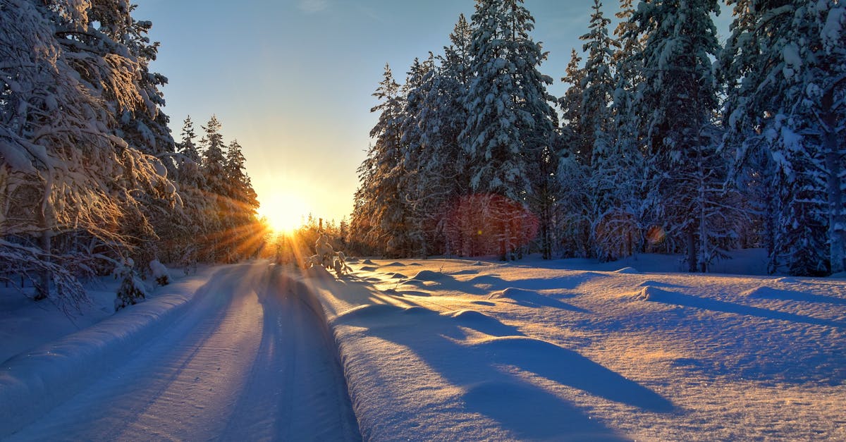 A serene winter scene with a snowy forest path illuminated by a stunning sunset.