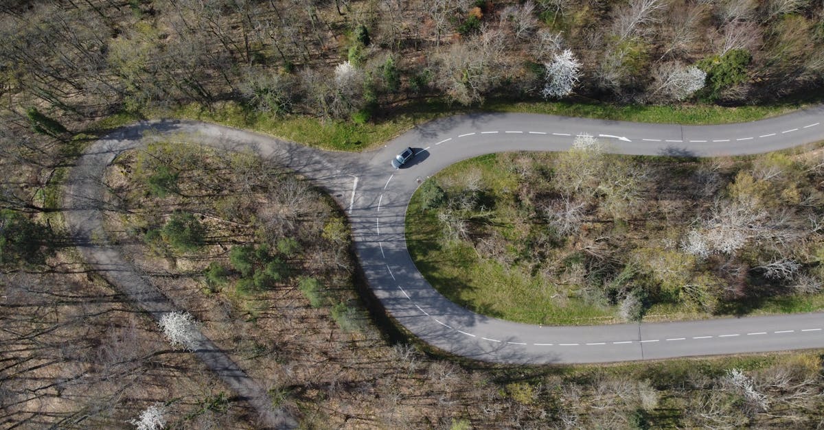 Drone shot capturing a curvy road through a forest in Kintzheim, Grand Est, France.