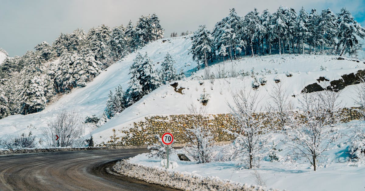 A scenic snowy road curves through a wintery forest landscape with snow-covered trees.