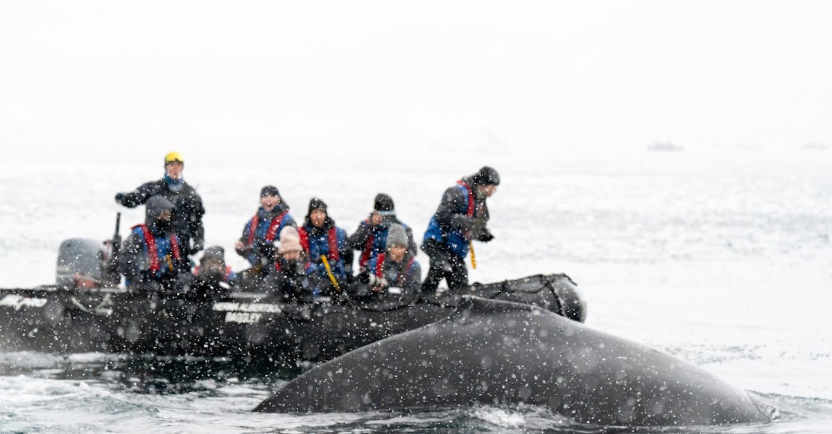 Group of people whale watching in snowy, icy waters from a pontoon.