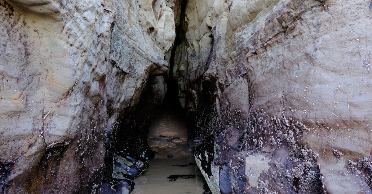 Explore a narrow rocky cave entrance with visible wet path and natural textures.