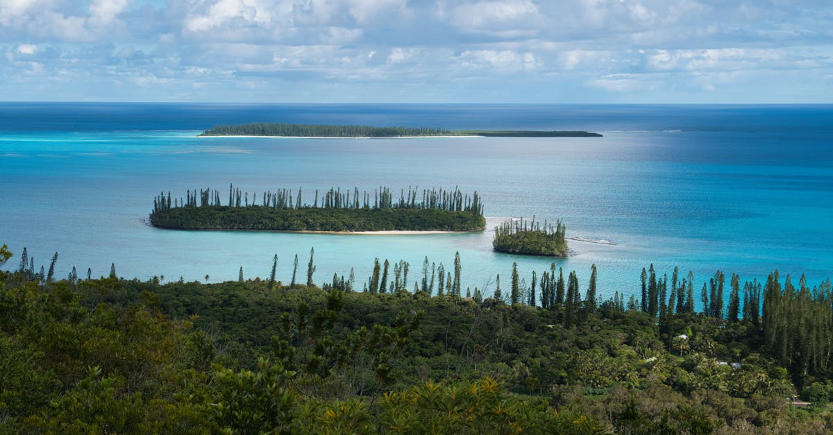 A beautiful aerial view of islands and lush coastal forest in the turquoise ocean.
