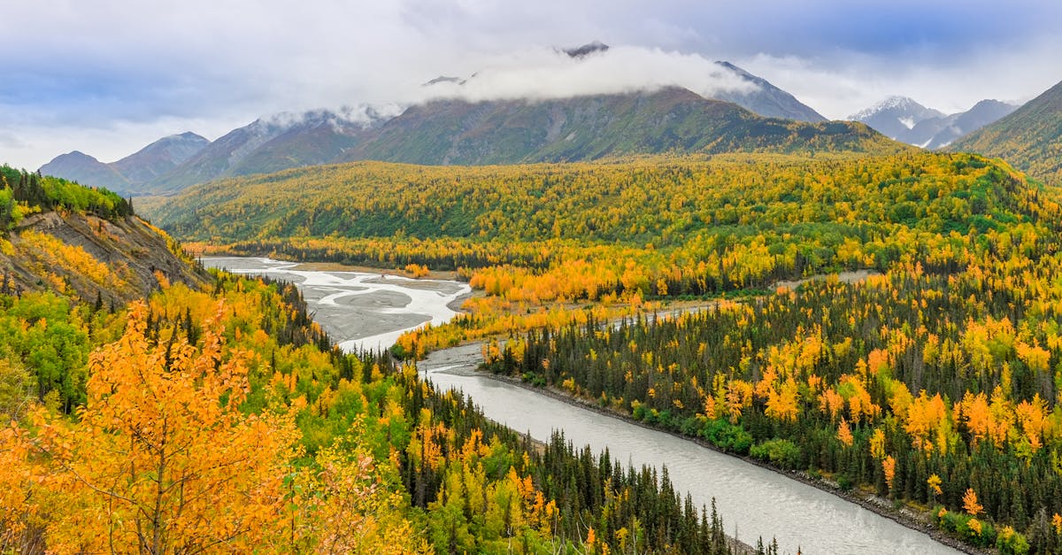Stunning autumn view of a river winding through colorful forests in Alaska.