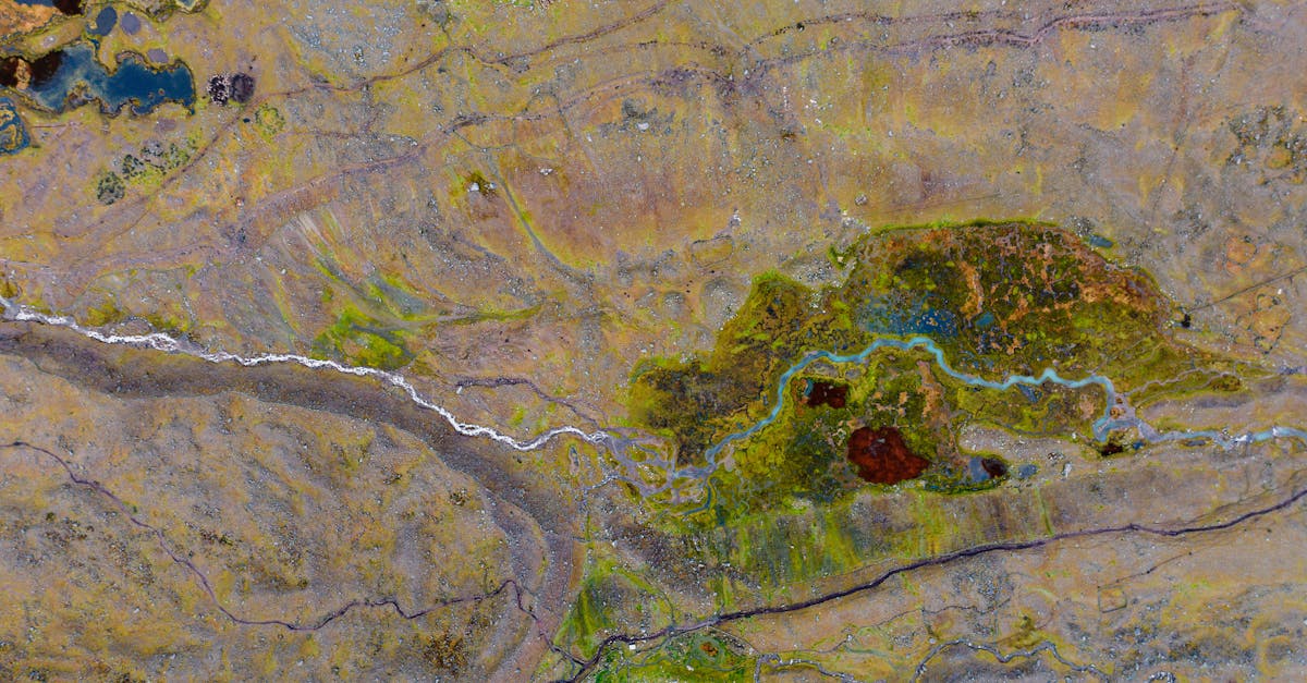 third_section_image_data.image_alt