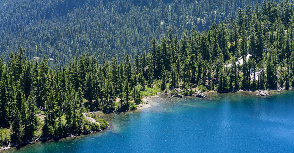 third_section_image_data.image_alt