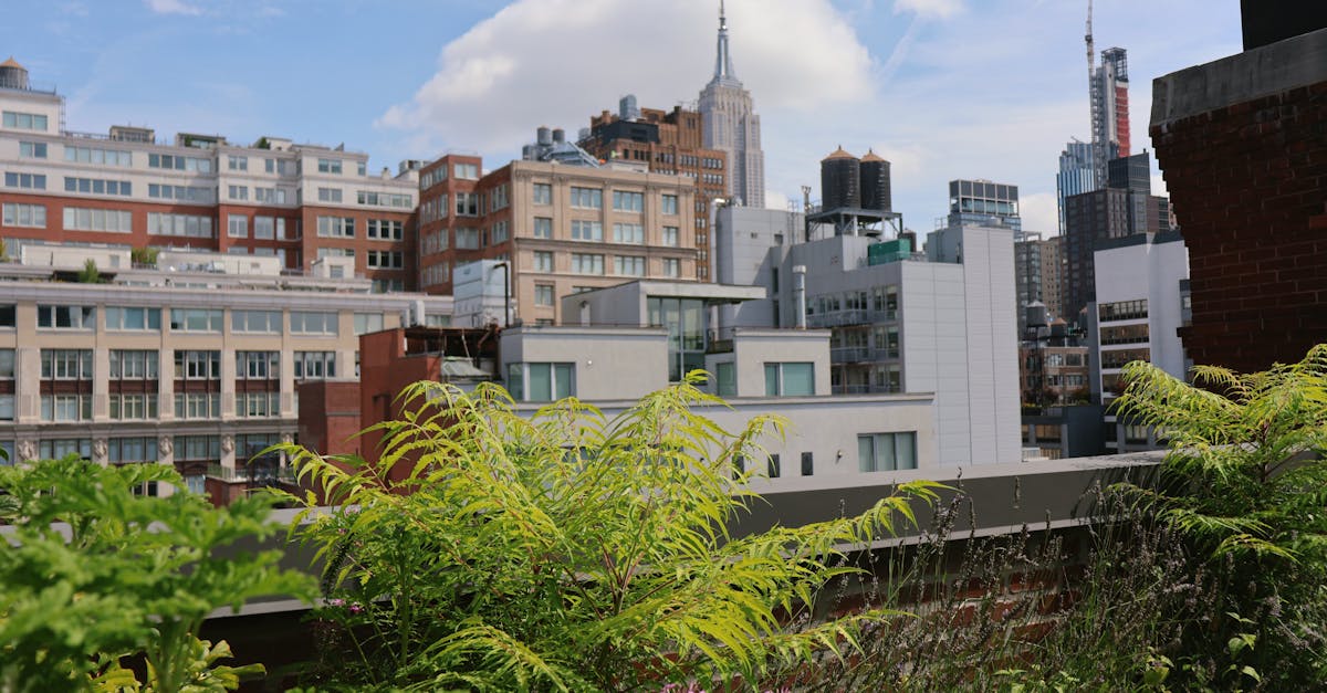 Lush rooftop garden overlooking New York City's skyline featuring the Empire State Building.